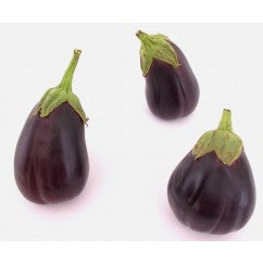 Eggplant Black Beauty, Heirloom - Certified Organic