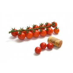Tomato Micro Cherry TOP-2236 F-1